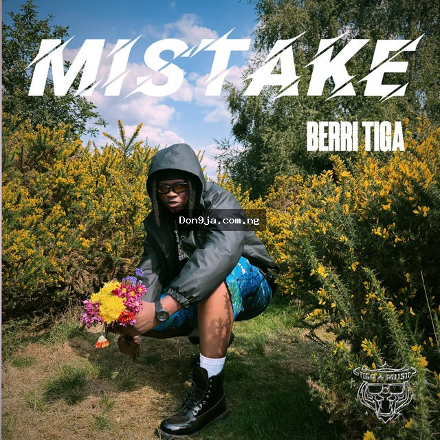 Mistake cover art