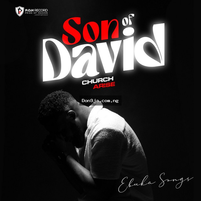 Son Of David cover art