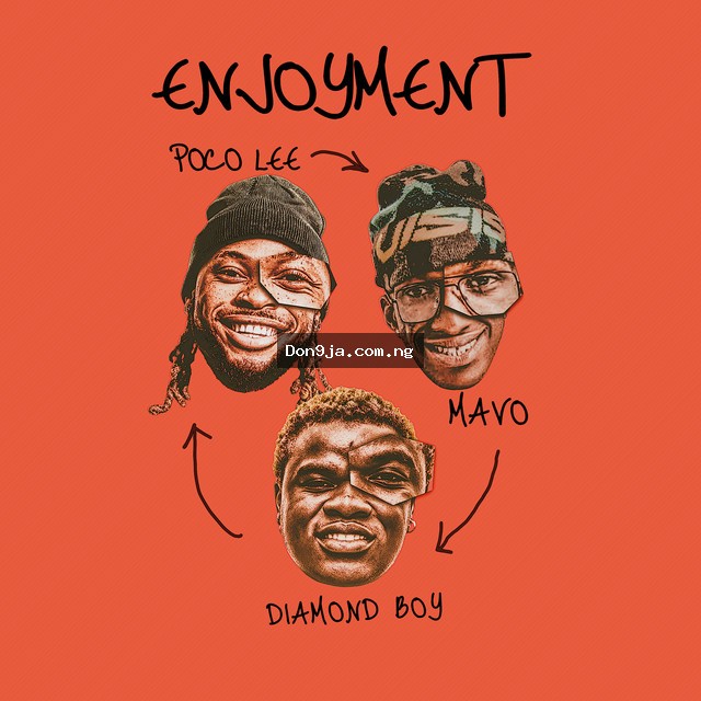 Enjoyment cover art