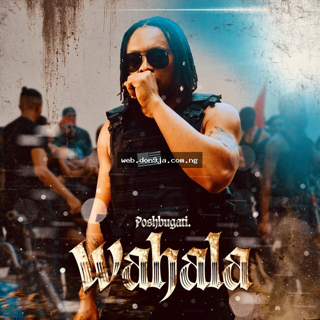 Wahala cover art