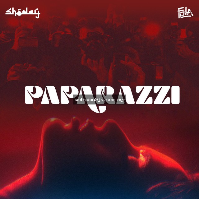 Paparazzi cover art